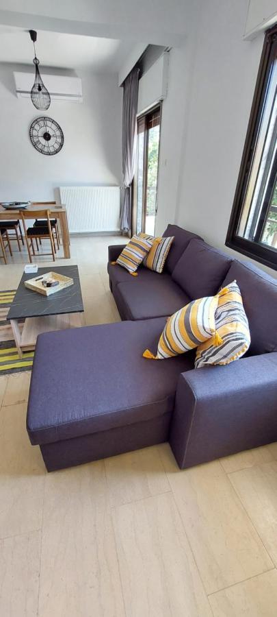 Electra Apartment Agia Triada 外观 照片